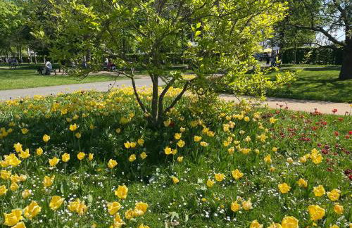 BAUHAUS Design-Luxus Apartment, 20er Jahre Stil, Garten - Foto 36