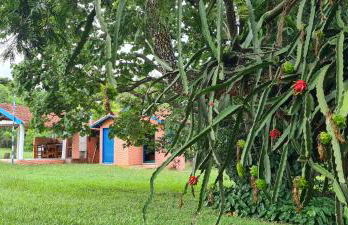 Chácara Santo Antonio - Foto 44