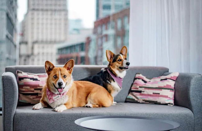 Hotel Monville - Foto 47