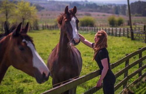 Meadowhead Cottage, Traditional Scottish Cottage - Foto 11