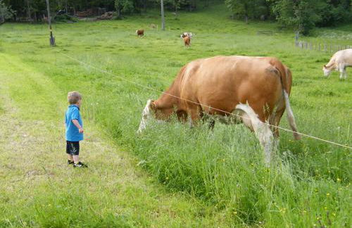 Bognerlehen Rupert Kurz - Foto 4