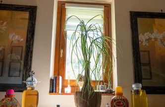 Cathedral-luxury-stay sauna & massage - Foto 20