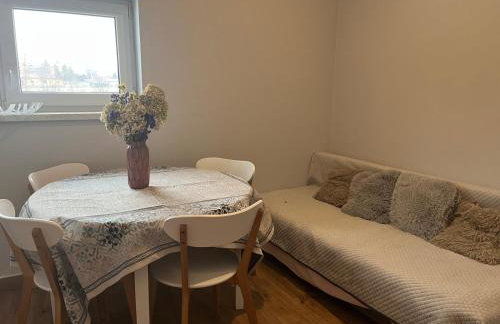 Apartament Leśna Ostoja Rychwałd - Foto 15