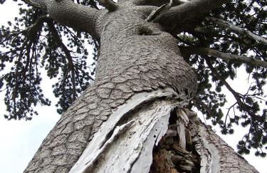 Tana Libera Tutti 3 Nature, Yourself, Love - Foto 31