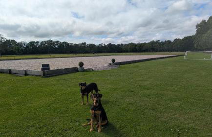 Cosy Coppice Cottage - Foto 17