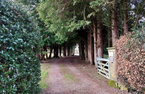 The Coach House- Canonbie - Foto 32