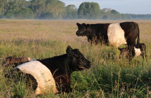 1 Bed in Beccles oc-90192 - Photo 24