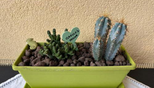 GrElly's House - Holiday in Rome - 50 meters from the Metro - Foto 4