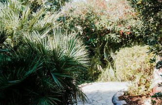 Mas Andalou Fabuleuse première ligne de mer, plage privative - Foto 43