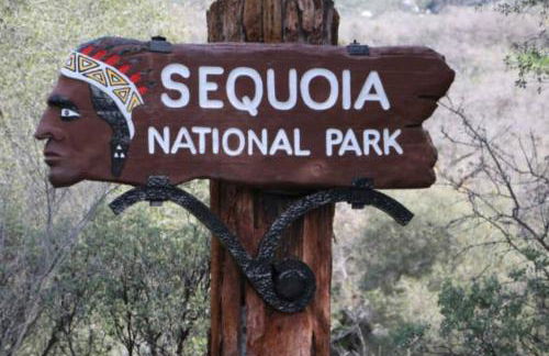 Sequoia Villa - Foto 35