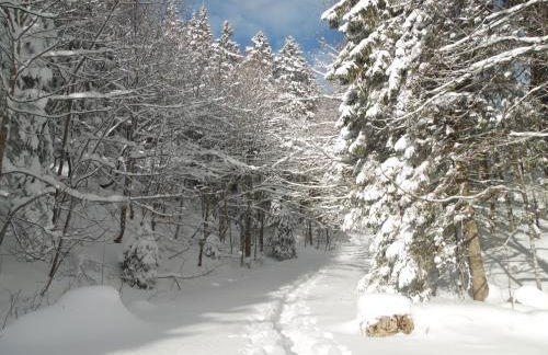 Appartement Col de la Faucille - Foto 13