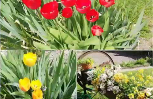 APPARTAMENTO LA FUCINA - Foto 24