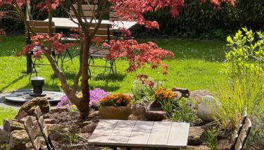 Die "Alte Schmelz"- Boutique-Landhotel & Restaurant - Foto 3, Garden