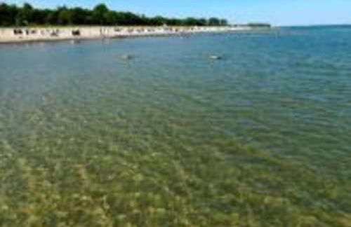 Coastal Comfort on Poel Island - Foto 37