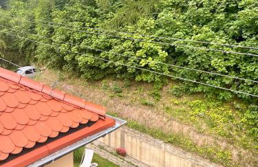 Szmaragdowa Sowa - Foto 22