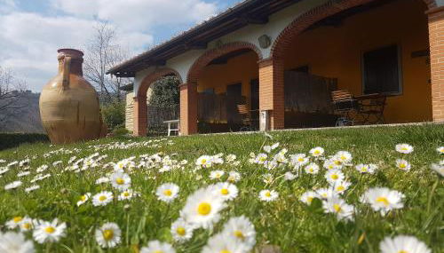 Agriturismo Il Pillone - Foto 3, Garden view