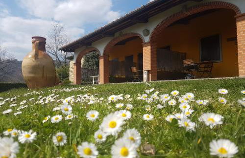 Agriturismo Il Pillone - Foto 3