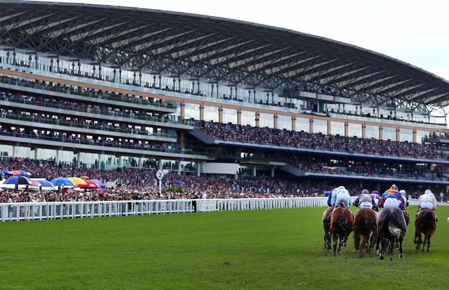 Apartment Sleeps 2 With Free Parking - Photo 16