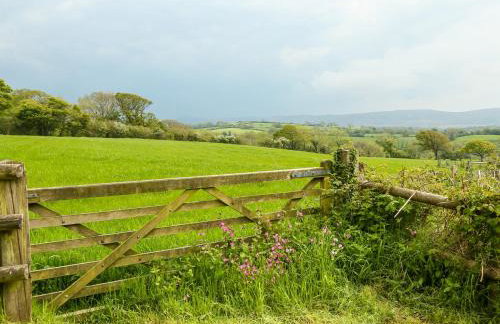 Henllys Lodge - Foto 19