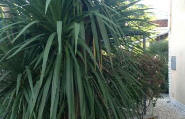 Apartments Villa Kristina - Photo 9