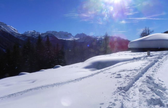 Agritur Sole Levante - Foto 22