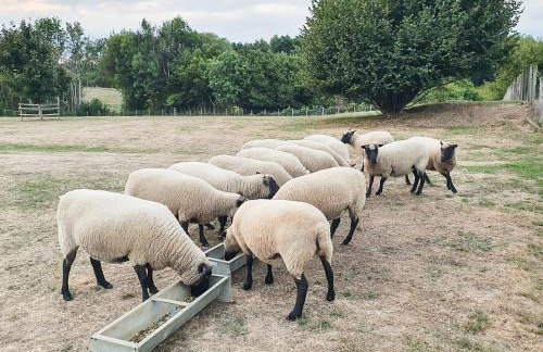 The Coach House - Foto 20