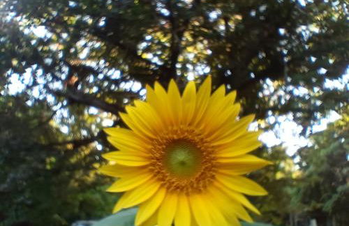 Valle del Tione-prenotazioni singole- - Foto 24