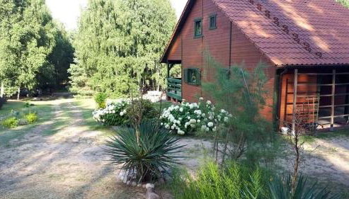 Domek letniskowy Pod brzozami Pszczew - Foto 5