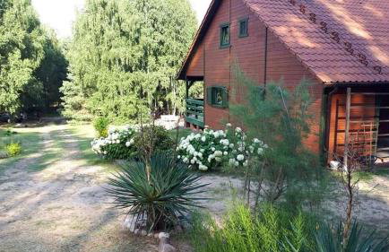 Domek letniskowy Pod brzozami Pszczew - Foto 5