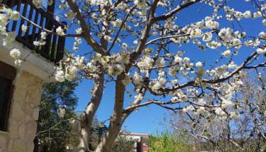 House in the Forest - Foto 2