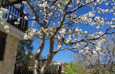 House in the Forest - Foto 2