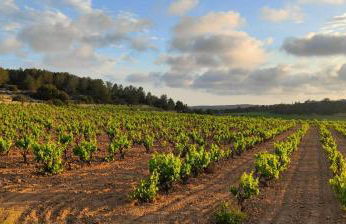 Ànima del Garraf - Photo 39