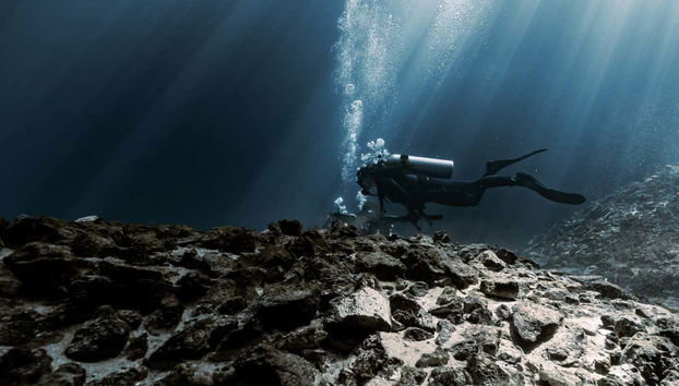 Cenote Diving Experience in Mérida - Foto 4