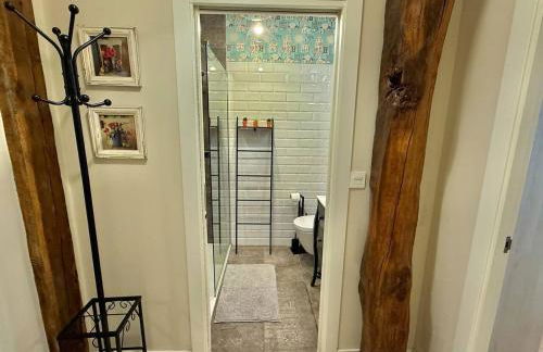 Amuma Justina Etxea , Apartamento en casco antiguo - Foto 28