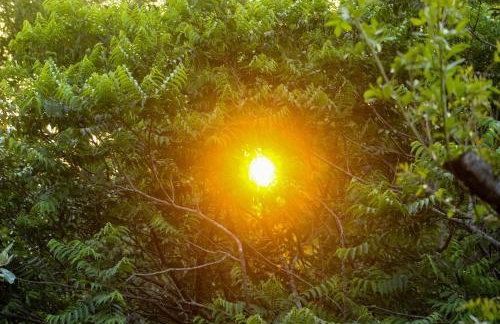 Casa Europeia com Lareira & Piscina em Indaiatuba - Foto 76