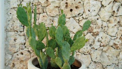 La Marina Case Vacanze - Foto 3