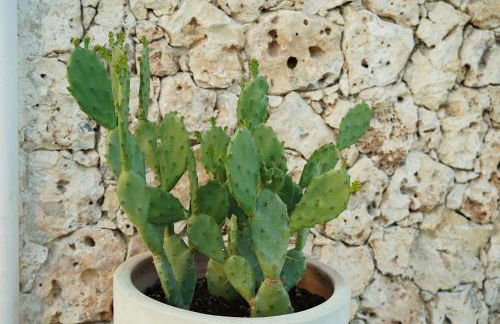 La Marina Case Vacanze - Foto 3