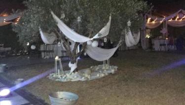 Tenuta Lanza Il Mulino - Foto 5, Garden