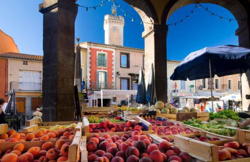 AGENCE JF IMMO-T2 climatise 4 pers avec terrasse vue campagne piscine et parking V0773 - Foto 32