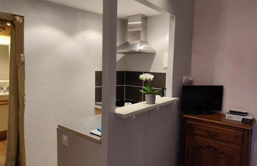 Chaleureux studio avec jardin commun et parking, idéal pour un couple face à l'Abbaye de Pontlevoy - FR-1-491-363 - Photo 9