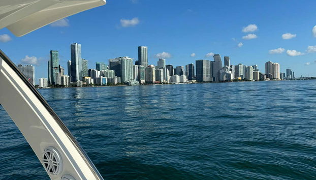 Balade privée en bateau près des maisons des célébrités - Photo 5