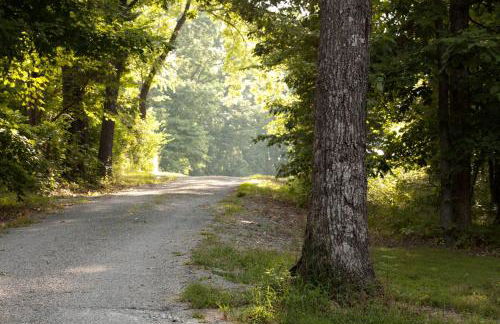 Lakefront Cozy Cabin with Hot-tub in Carbondale, Illinois - Foto 18