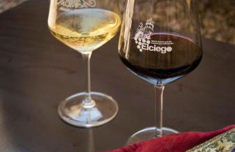 En BLANCO y TINTO - Foto 18