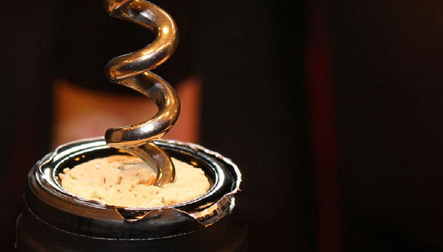 Chianti und Schloss-Tour ab San Gimignano - Kleine Gruppe - Foto 4