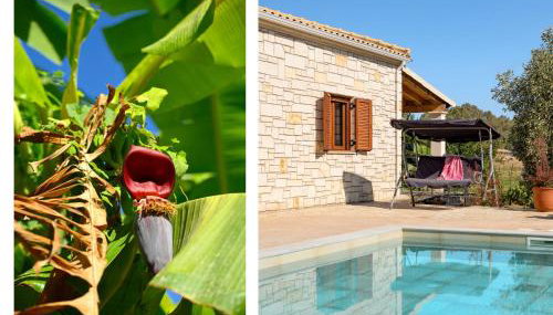 Villa Sofia Stella in Ionian Islands - Foto 5, Garden, Garden view