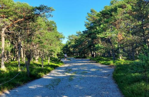 Greyówka dom kryty strzechą w Gardna Park - Foto 31