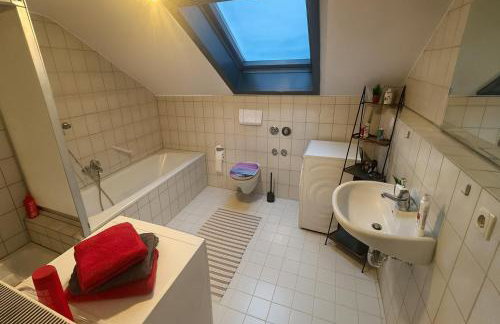 Tor zu Frankreich - Neuburg am Rhein - Foto 9