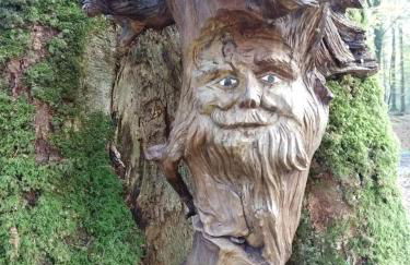 Ferienwohnung-Treeneblick - Foto 35