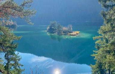 Teddis Traubing - Foto 22