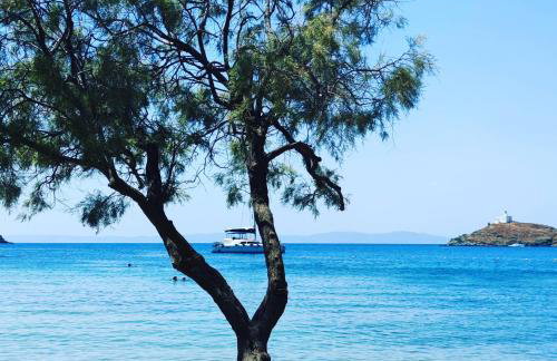 Enalia Studio - Foto 30